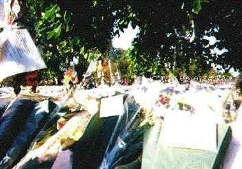 a mountain of flowers for Diana