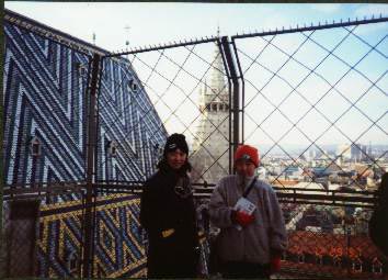 St Stephan's roof